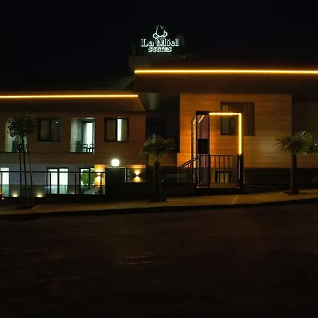 Hotel La Miel